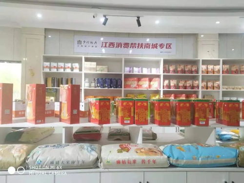 南城縣農(nóng)產(chǎn)品電商體驗館 以養(yǎng)生保健服務助力鄉(xiāng)村振興